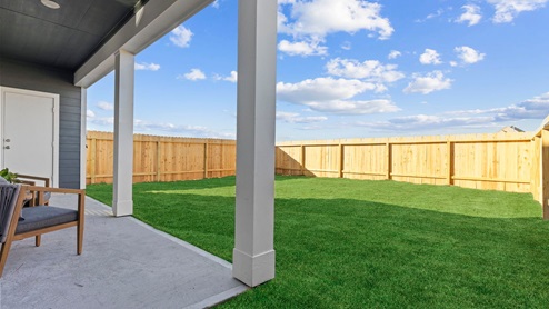 Backyard area with sod