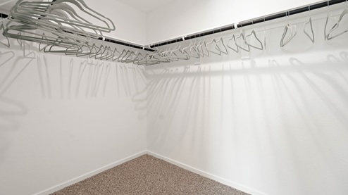 alaia crossing model home spacious primary closet