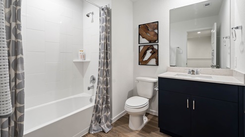 alaia crossing model home second full bathroom with mirror over single vanity and a shower/tub combo