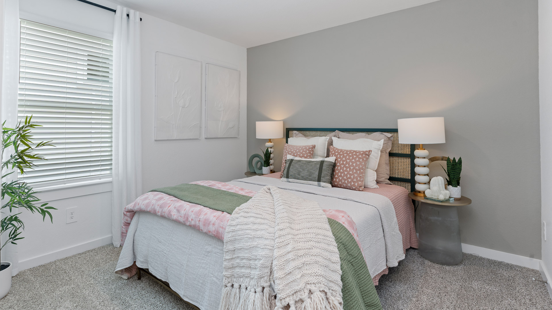 second bedroom with tall single window for natural light