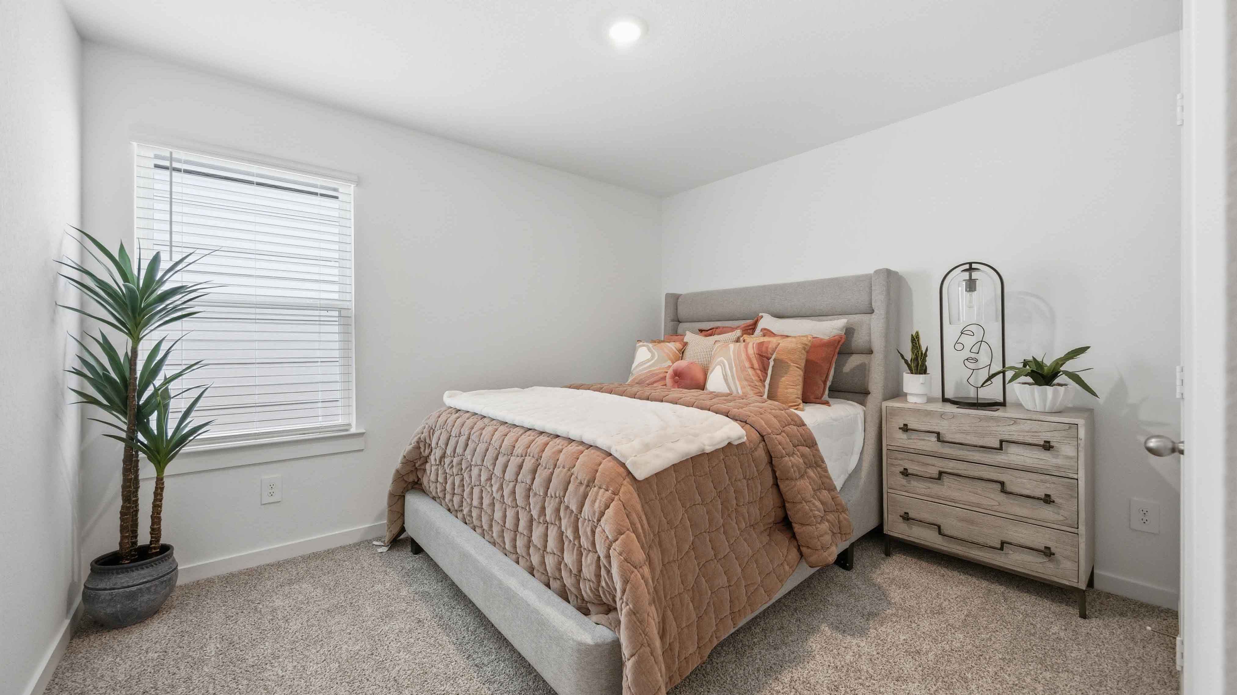 secondary bedrooms have light neutral walls and carpet flooring