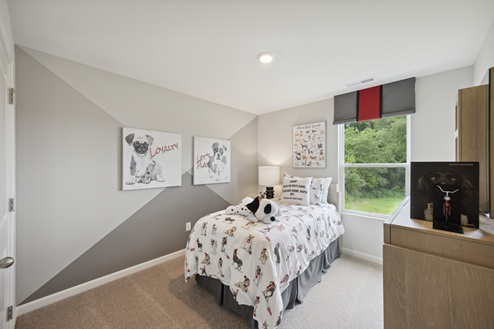 Bedroom with bed with white and dog patterned bedding. Bedside table with lamp to the left of the bed, window with grey and red valance to the right. Beige carpet. Light brown dresser to the right of the room.