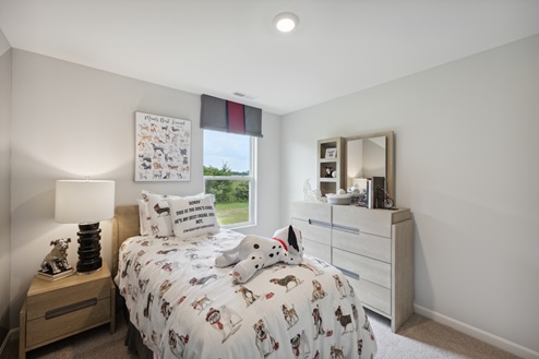 Bedroom with bed with white and dog patterned bedding. Artwork above bed. Light brown bedside table with lamp to the left of the bed and window with grey and red valance to the right. Light brown dresser with mirror to the right of the room. Beige carpet and grey walls.