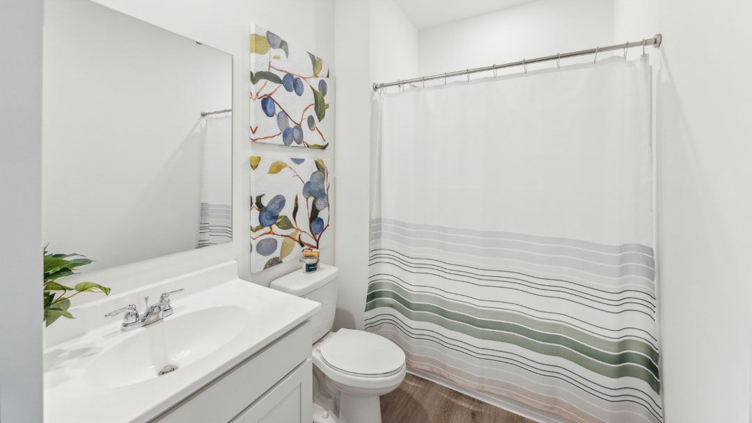 bathroom featuring a sink with a mirror above, a toilet, and a shower with a green shower curtain