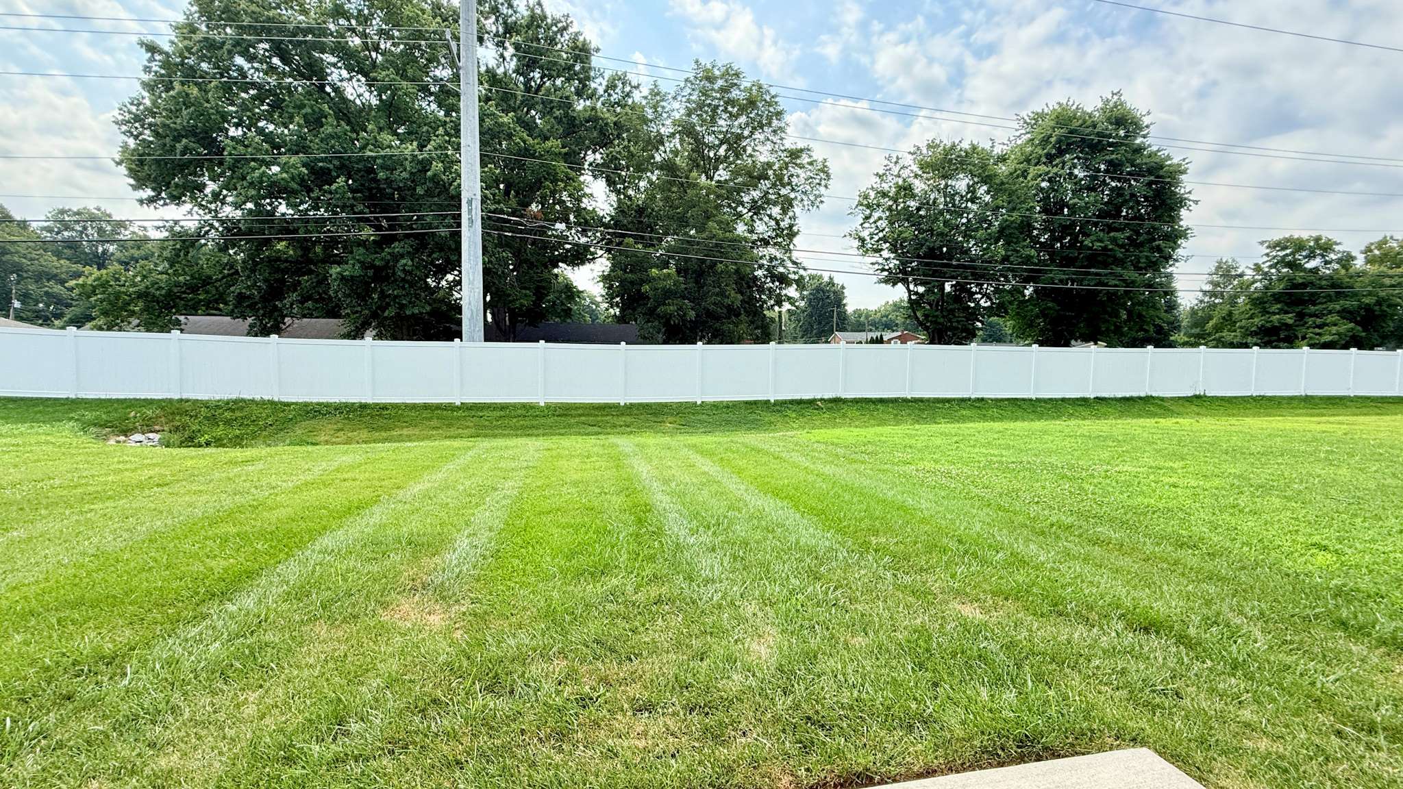 Rear backyard