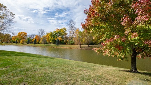 pond in autumn