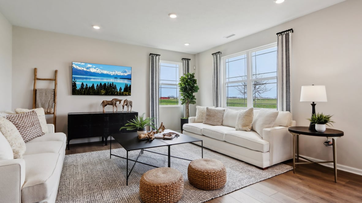 Living room with natural light