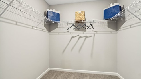 Spacious walk in closet with hanging rod