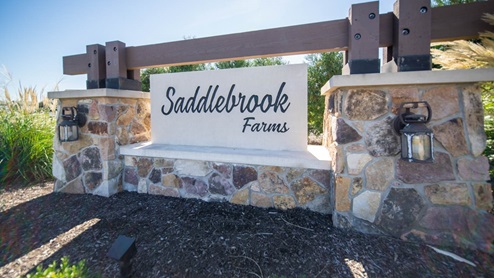 Saddlebrook community entrance