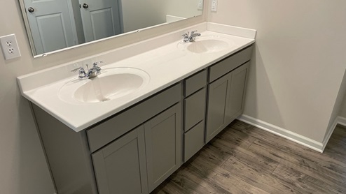 Primary vanity with two sinks