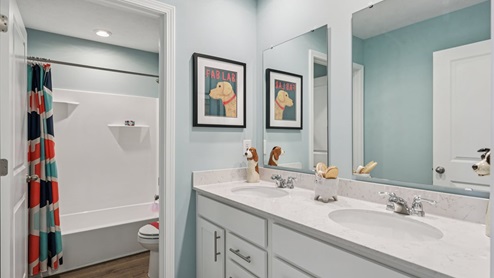 Interior bathroom with double sink and full-sized shower