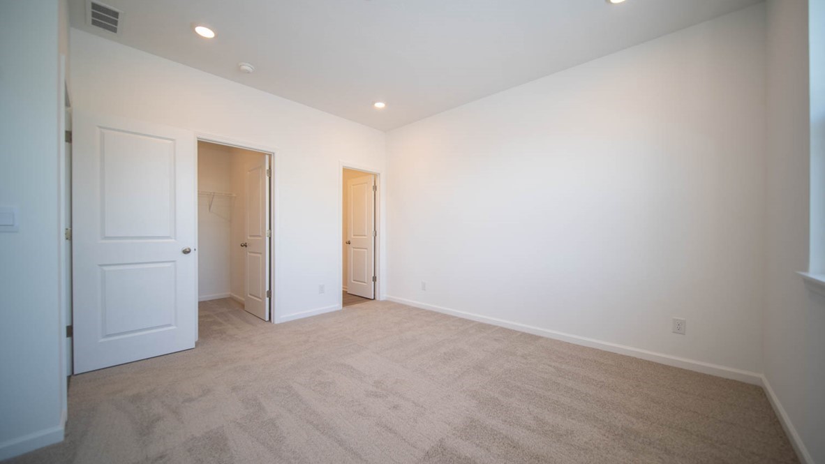 Primary bedroom with a walk-in closet with carpet flooring.