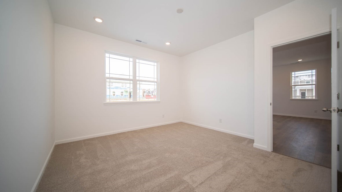 Primary bedroom with a double window and carpet flooring.