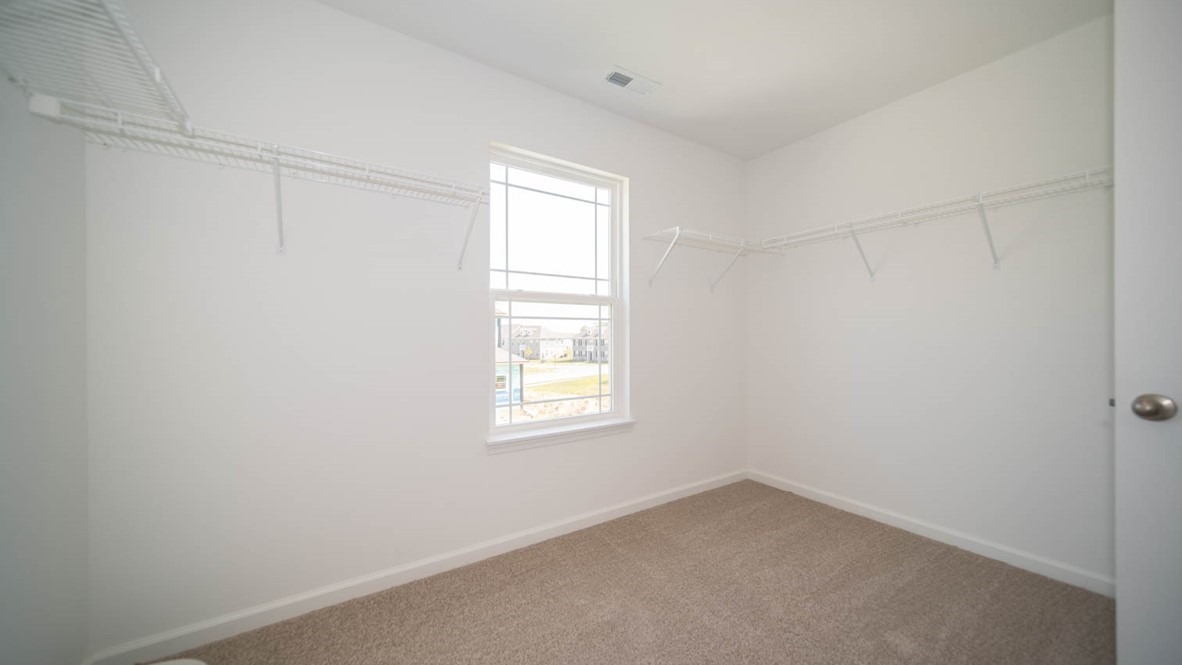 Primary walk-in closet with a window and carpet flooring.