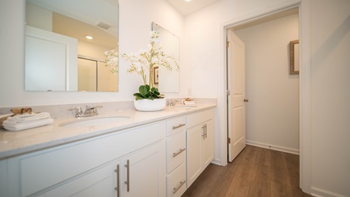 primary bathroom with dual vanity