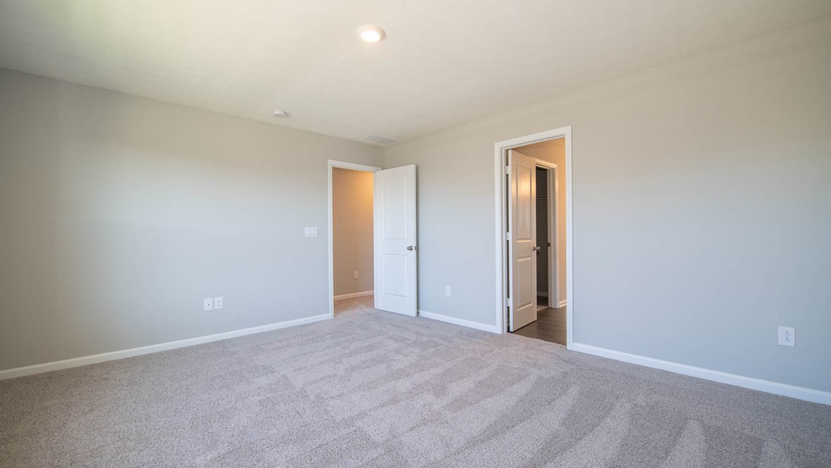 primary bedroom with natural light