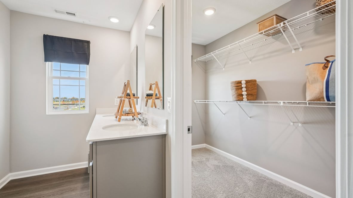 primary vanity and closet