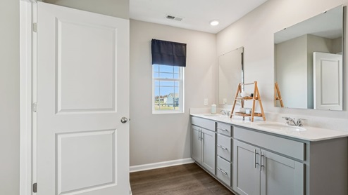 primary vanity with quartz counters and two sinks