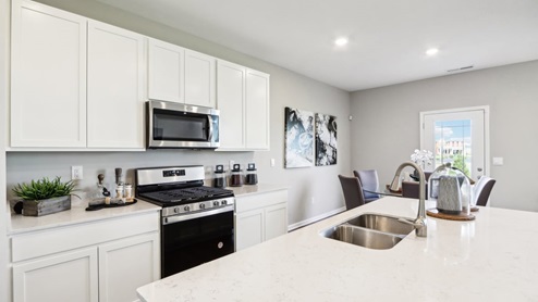 gleaming quartz countertops and stainless steel appliances