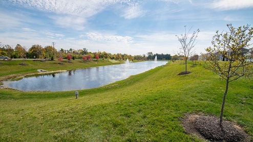fairwood pond