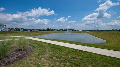 serene pond view
