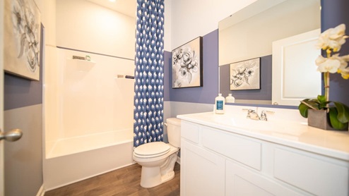 bathroom with shower and tub combo