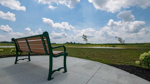 serene bench by walking trails and pond