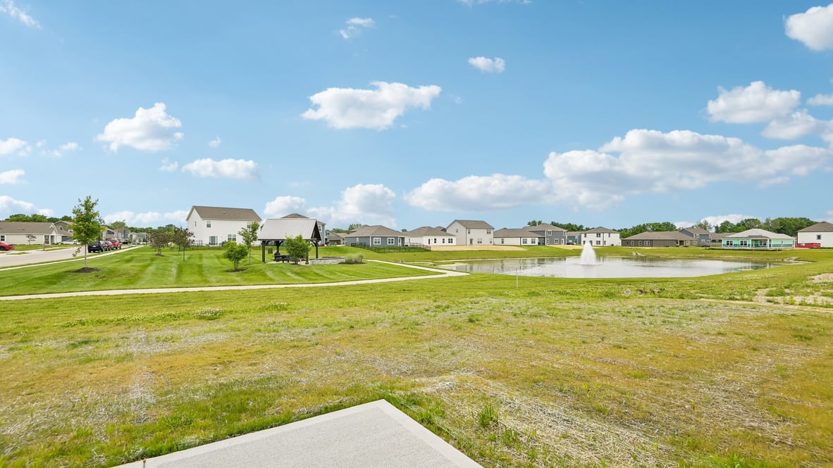 backyard view