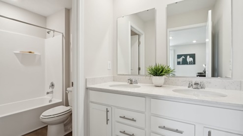 bathroom with dual vanity