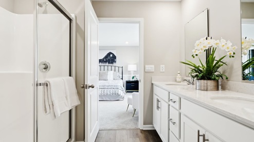 primary bathroom with walk-in shower
