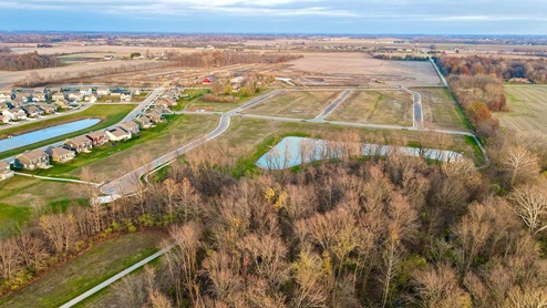 section 4 aerial view treeline