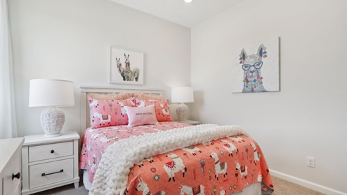 bedroom with spacious closet