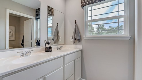 hall bathroom with double bowl vanity