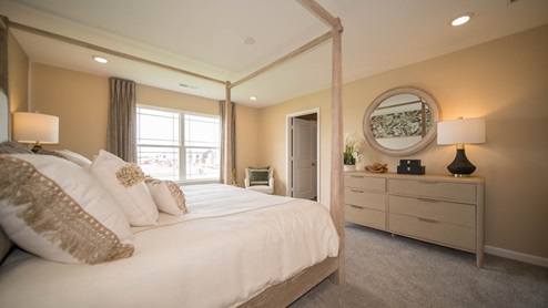 primary bedroom with natural light