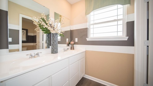 bathroom with dual vanity