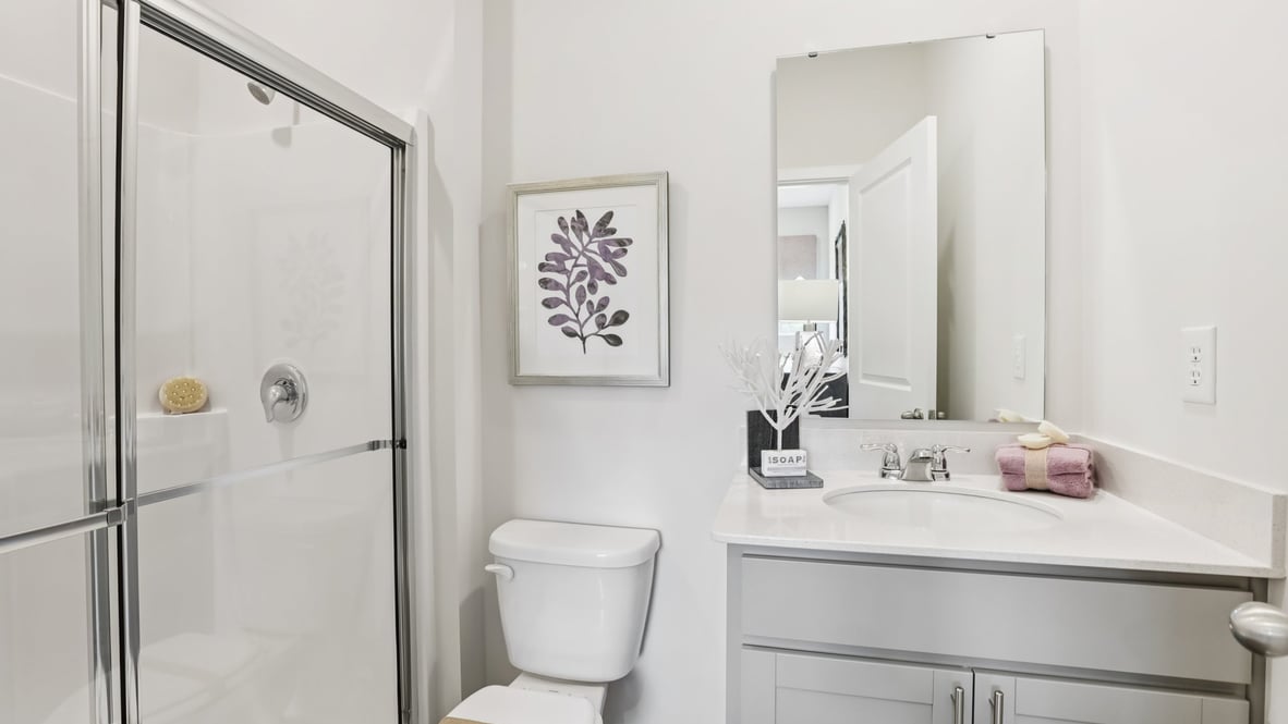 hall bathroom with vanity and shower