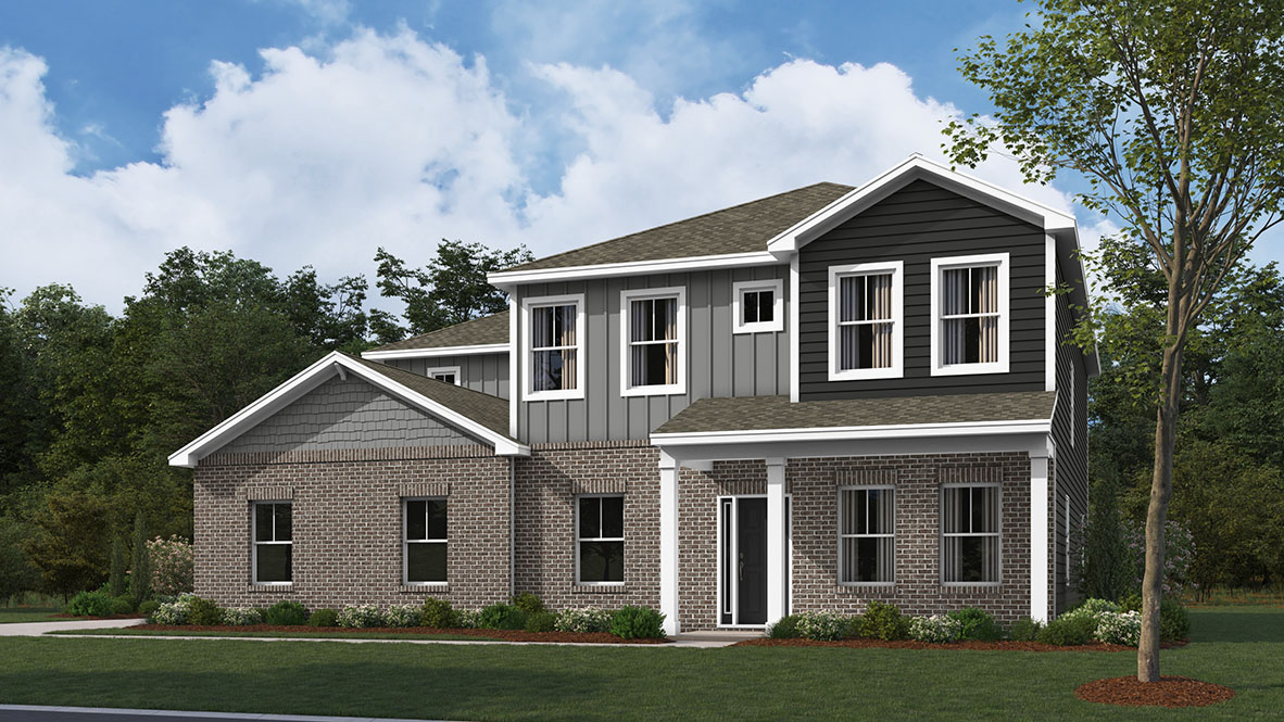 D4 Rendering