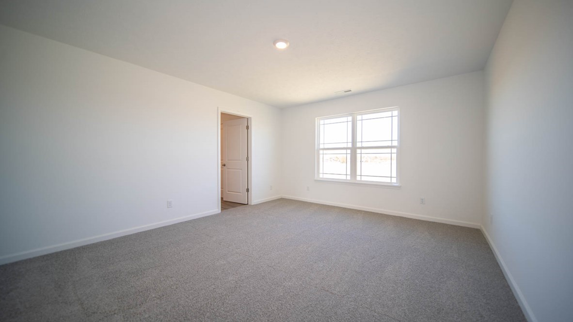 primary bedroom with natural light