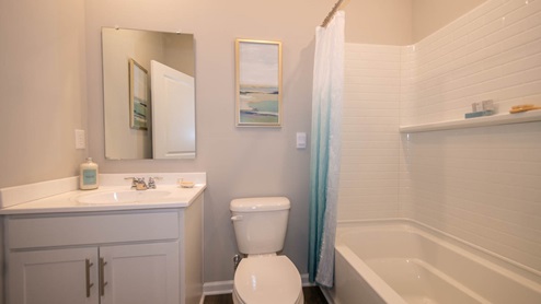 guest bathroom with shower and tub combo