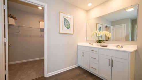 primary bathroom with walk-in closet