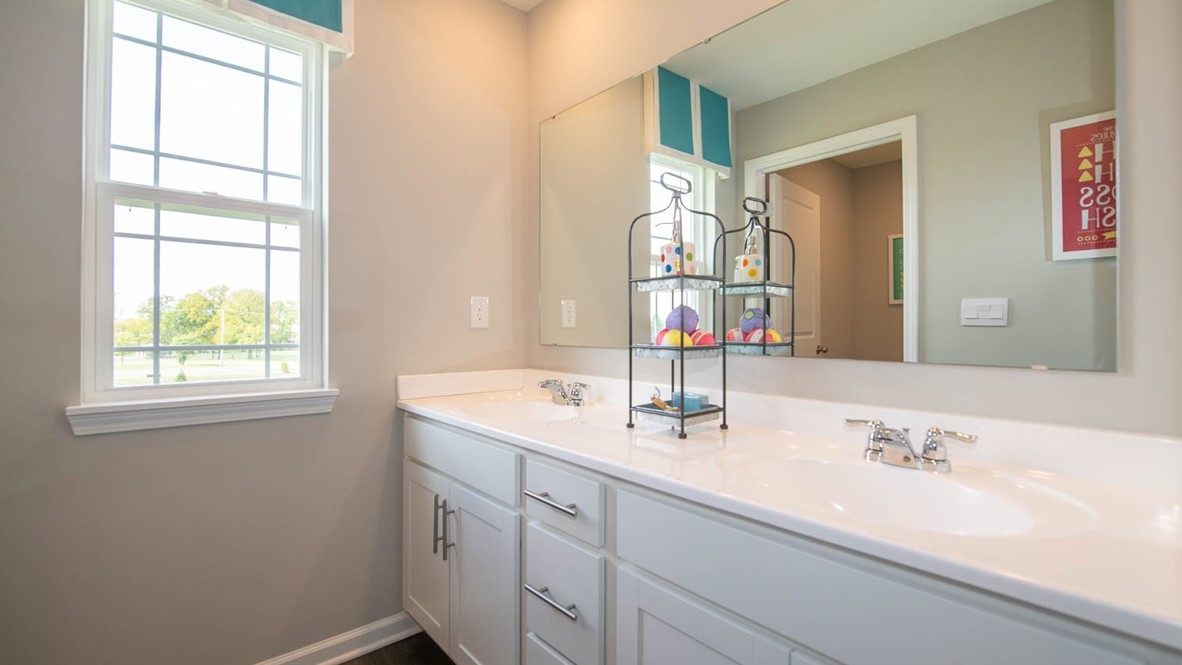 bathroom with dual vanity
