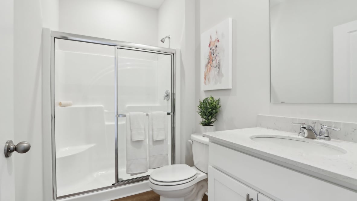 bathroom with walk-in shower