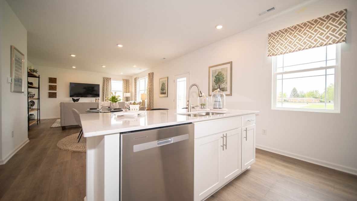 dishwasher in the island