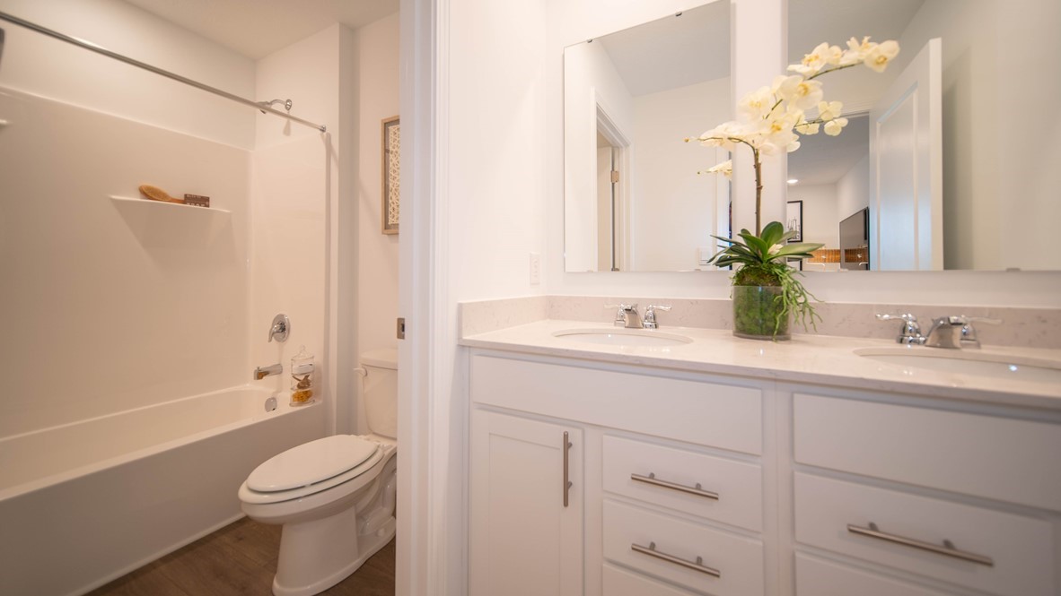 bathroom with dual vanity