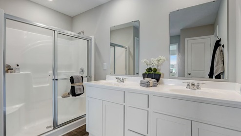 dual sink vanity and shower