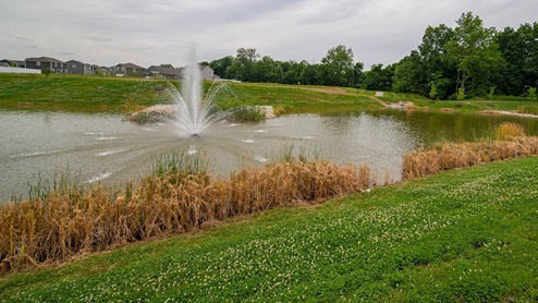 community pond with fountain