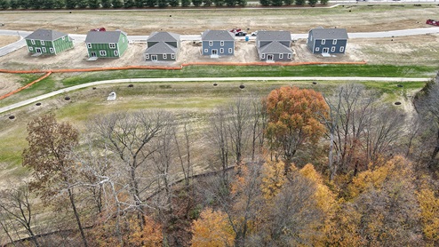 back yard tree line aerial view