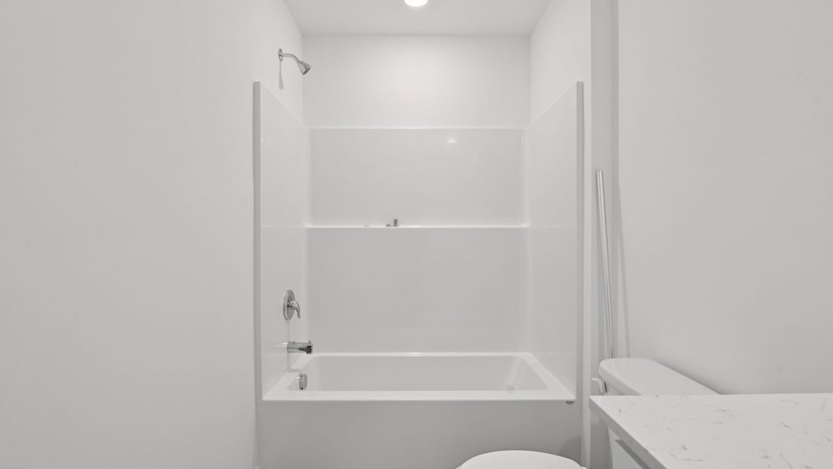 tub shower in the hall bathroom