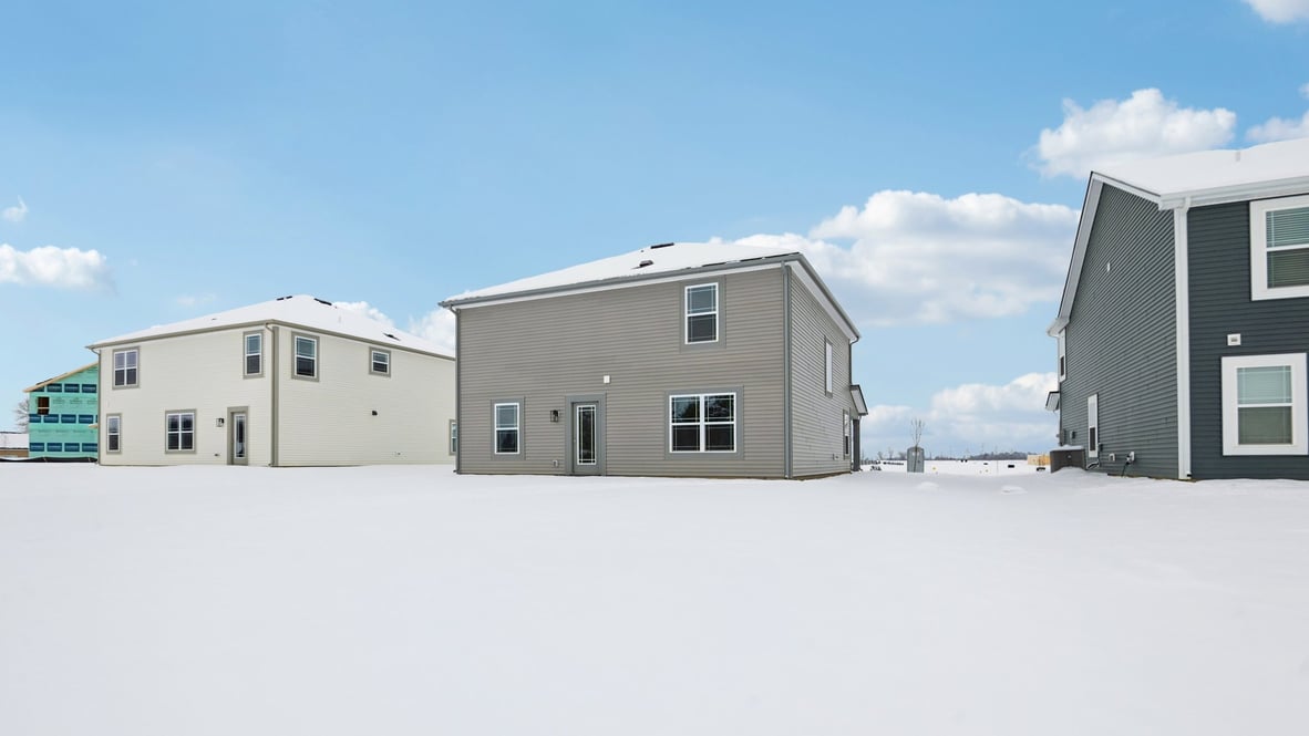 rear view of the Bellamy