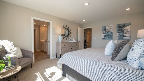 primary bedroom with natural light